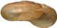 Oxychilus cellariusKÄLLARGLANSSNÄCKA4,0 × 8,2 mm